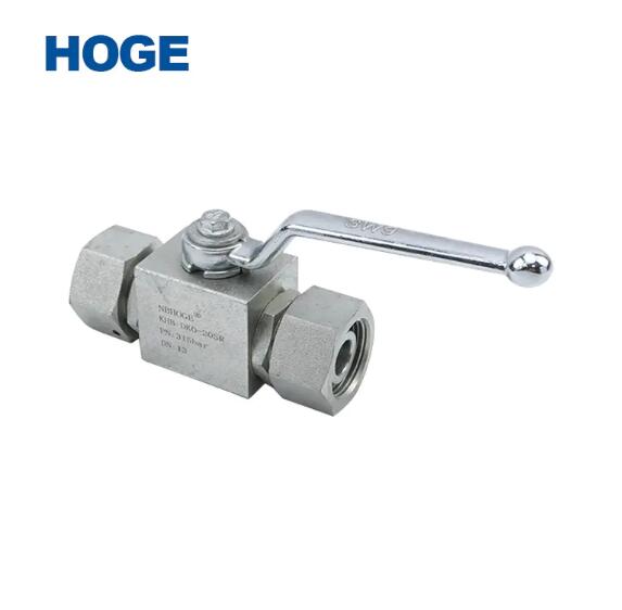 Hydraulic Valves Factory Introduces The Working Principle Of Check Valves