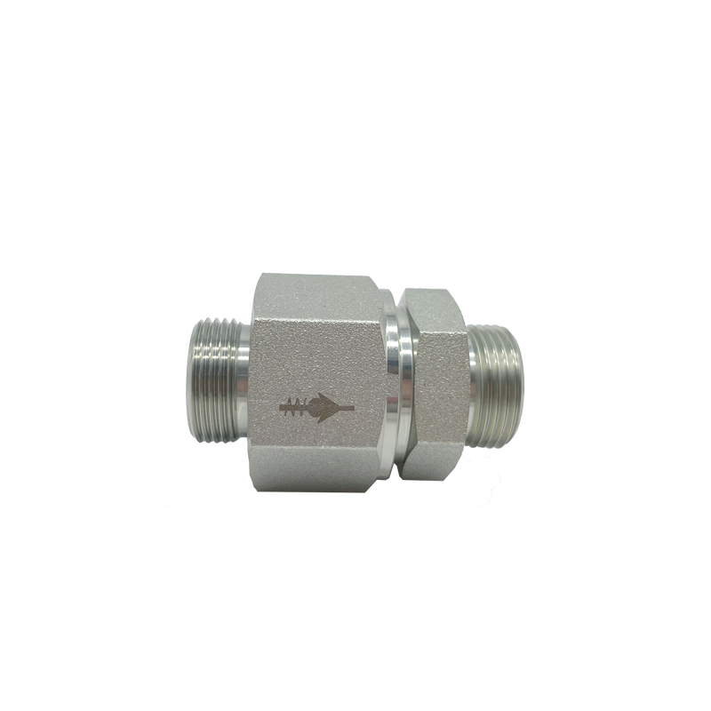 Check valve-RS-L