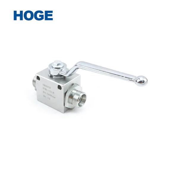 Check Valves Factory Introduces The Characteristics Of Hydraulic Valves